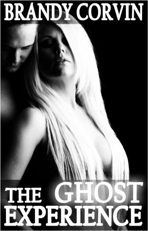 bigCover of the book The Ghost Experience by 