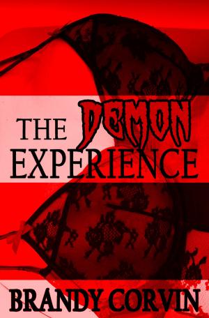 bigCover of the book The Demon Experience by 