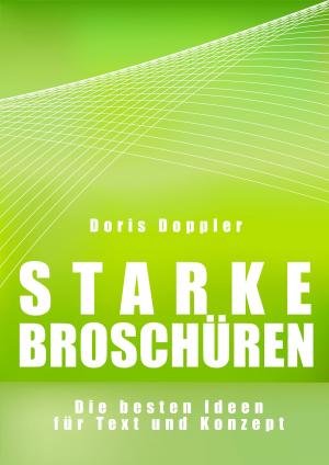 Cover of the book Starke Broschüren. Die besten Ideen für Text und Konzept by Katie Silver