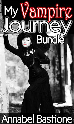 Book cover of My Vampire Journey Bundle
