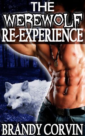bigCover of the book The Werewolf Re-Experience by 