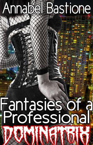 Book cover of Fantasies of a Professional Dominatrix