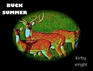 Book cover of Buck Summer