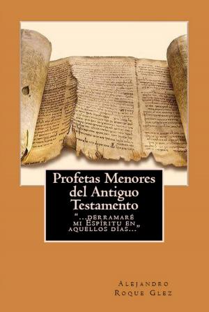 Book cover of Profetas Menores del Antiguo Testamento.