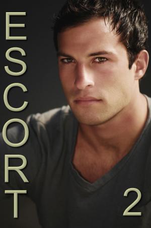 Book cover of Escort: Book 2