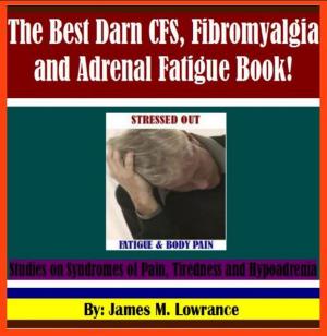 Book cover of The Best Darn CFS, Fibromyalgia and Adrenal Fatigue eBook!