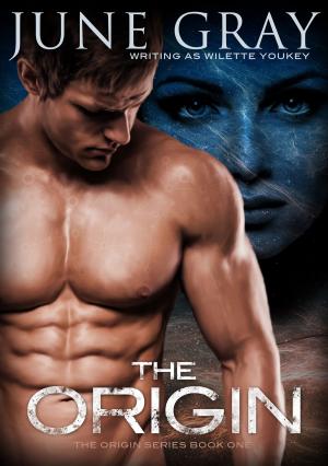 Cover of the book The Origin by KC Kendricks