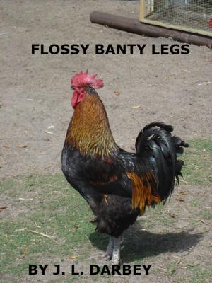 Cover of the book FLOSSY BANTY LEGS by Richard Pabon
