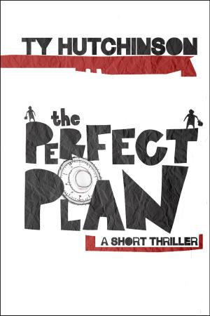 bigCover of the book The Perfect Plan by 