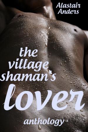 Book cover of The Village Shaman's Lover