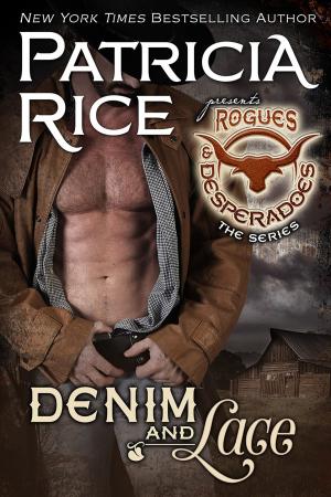 Cover of the book Denim and Lace by Amy Sterling Casil