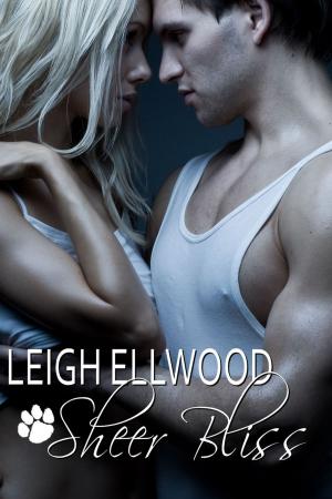 Cover of the book Sheer Bliss by LK Ellwood