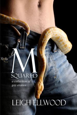Cover of the book M-Squared: a Collection of Gay Erotica by V.D Prin