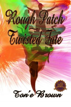 Cover of the book Rough Patch~Twisted Fate Special Edition by Kim Hunter