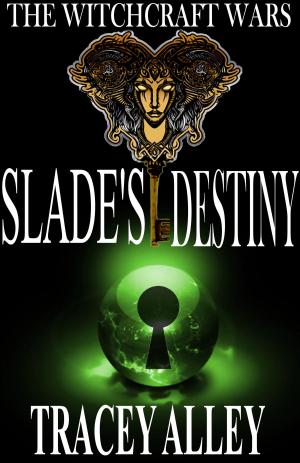Cover of the book Slade's Destiny by Stephen L. Nowland