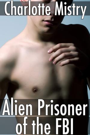 Cover of the book Alien Prisoner of the FBI by Robert Burns (Translated by Brooke Donny)