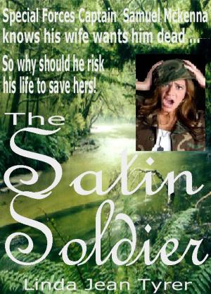 Cover of the book The Satin Soldier by Carl Brookins