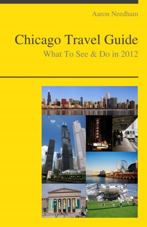 bigCover of the book Chicago, Illinois Travel Guide - What To See & Do by 