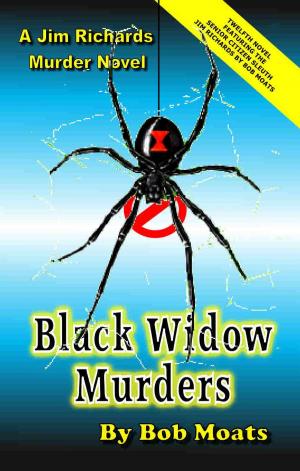 Book cover of Black Widow Murders
