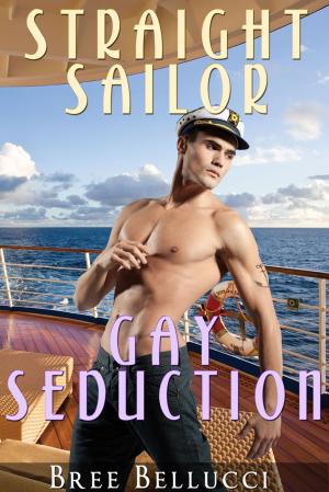 Cover of the book Straight Sailor Gay Seduction by Bree Bellucci