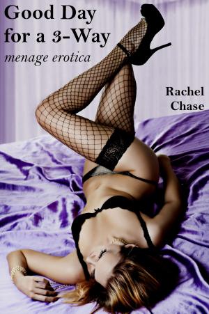 Cover of the book Good Day for a 3-Way by Rachel Chase