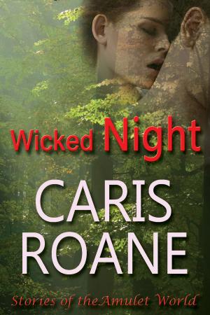Cover of the book Wicked Night by Kim Jones