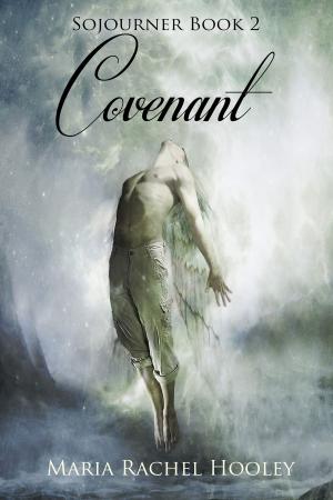 Cover of the book Covenant by Maria Rachel Hooley