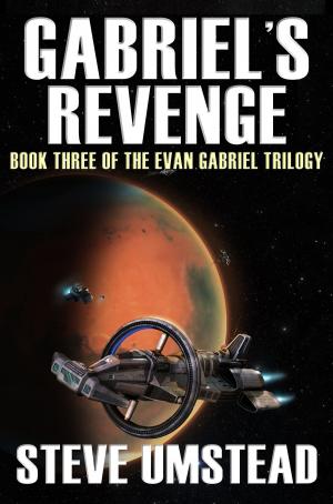 Cover of the book Gabriel's Revenge by Amber White