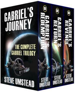 Cover of the book Gabriel's Journey by Roby Guerra