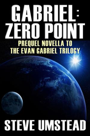 Book cover of Gabriel: Zero Point