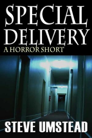 Cover of the book Special Delivery by D.I. Telbat