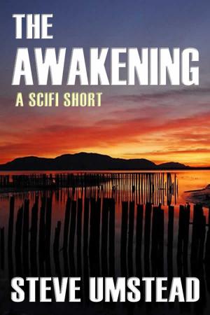 Cover of the book The Awakening by Rebecca Tran