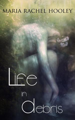 Cover of the book Life In Debris by Lise Lyng Falkenberg