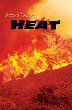 Book cover of HEAT