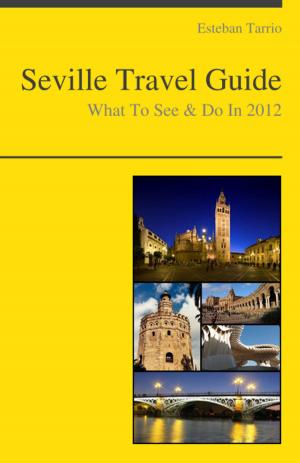 Book cover of Seville, Spain Travel Guide - What To See & Do