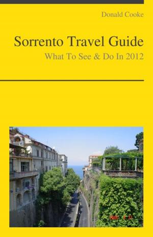 Cover of Sorrento, Italy Travel Guide - What To See & Do