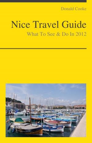 Cover of Nice, France Travel Guide - What To See & Do
