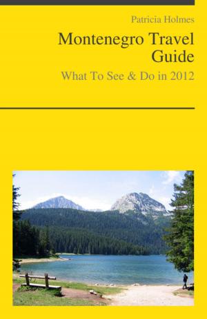Book cover of Montenegro Travel Guide - What To See & Do
