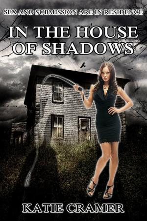 Cover of the book In The House Of Shadows by Katie Cramer