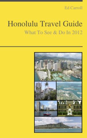Cover of the book Honolulu, Hawaii Travel Guide - What To See & Do by Allen Riedel