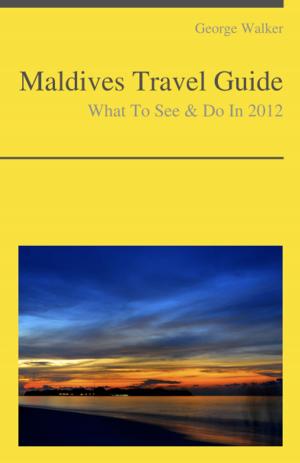 Book cover of Maldives Travel Guide - What To See & Do