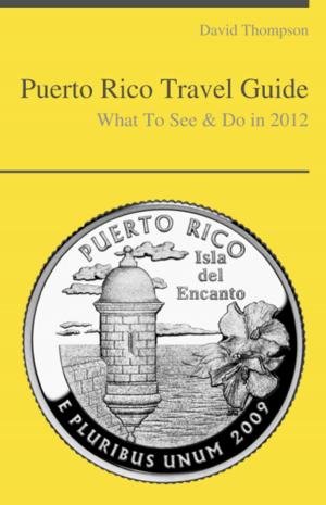 Book cover of Puerto Rico Travel Guide - What To See & Do