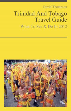 Cover of the book Trinidad And Tobago Travel Guide - What To See & Do by Ashley Gupta