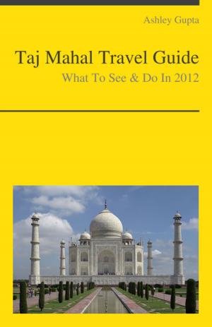 Cover of the book Taj Mahal, India Travel Guide - What To See & Do by Erica Woods