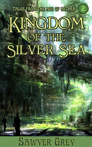 Cover of the book Kingdom of the Silver Sea by Jeroen Verhoog