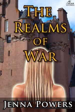 Cover of the book The Realms of War by Jane Snow