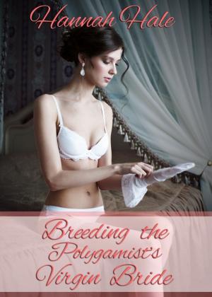 Book cover of Breeding the Polygamist's Virgin Bride