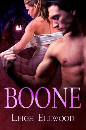 Cover of the book Boone by JT Whitehall