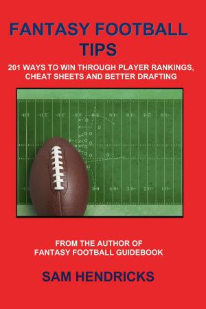 Book cover of Fantasy Football Tips