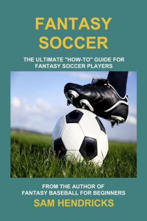 Book cover of Fantasy Soccer